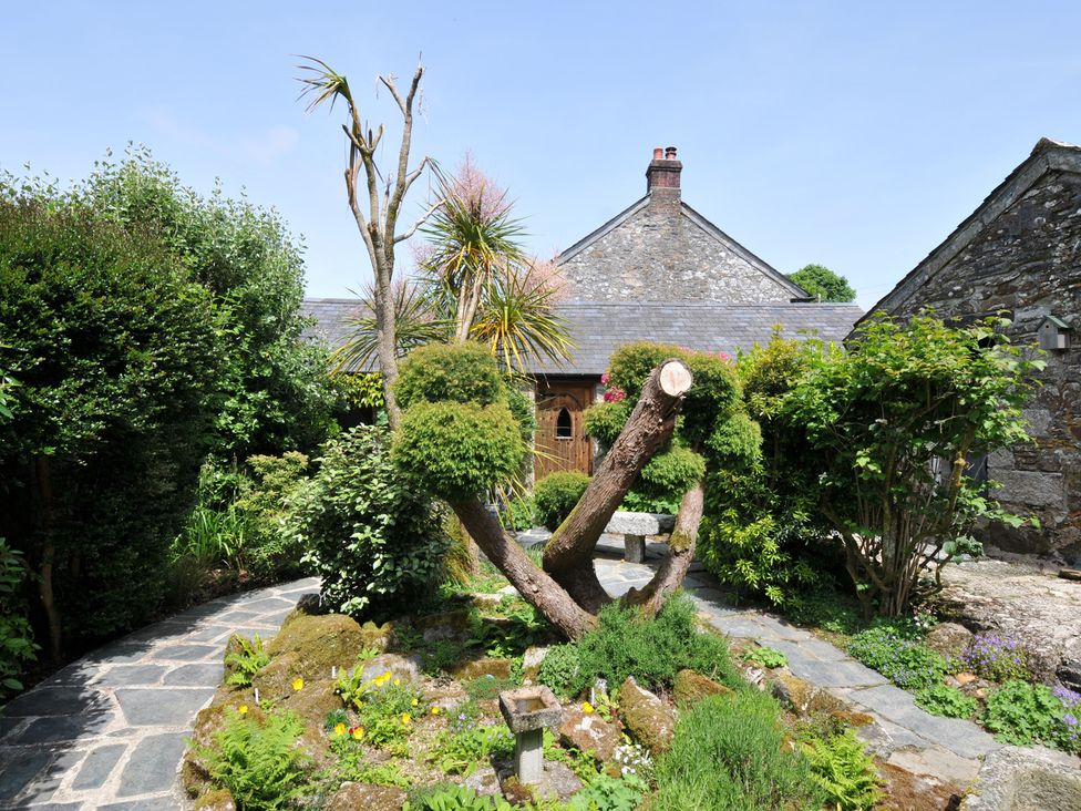 A garden with various plants and a tree at Trevenning Chapel Near Port Isaac