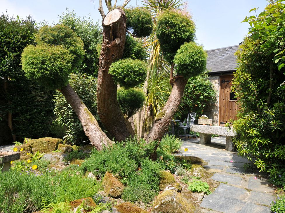 A garden with a tree and stone bench at Trevenning Chapel Near Port Isaac
