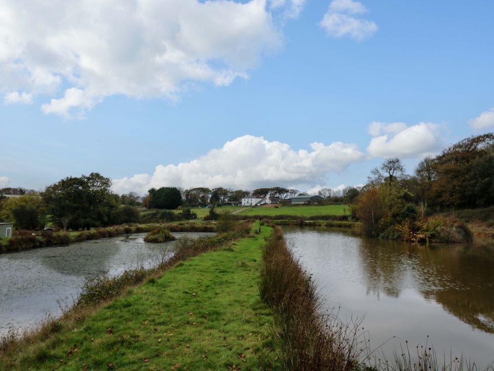 The Cottage - Devon - 959546 - thumbnail photo 30