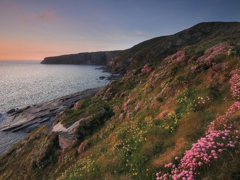 Parwin - Cornwall - 959592 - thumbnail photo 32