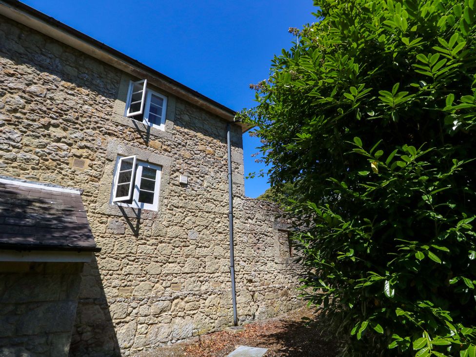 A stone wall with windows and a plant at The Stable Cottage in Wroxall