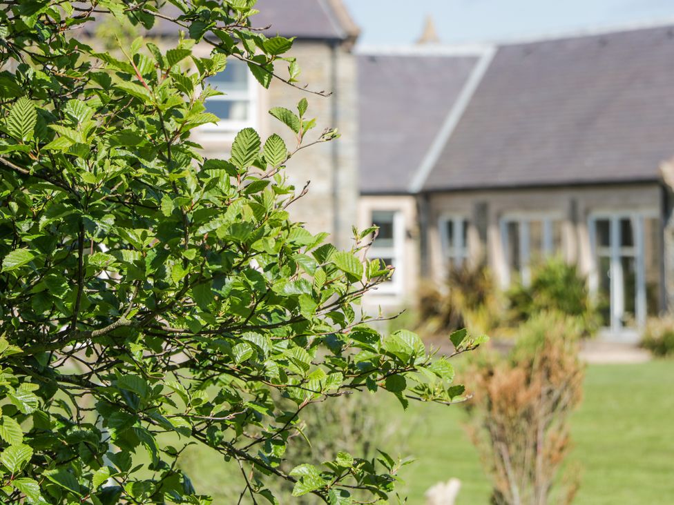 Marl House - Scottish Lowlands - 960772 - thumbnail photo 60
