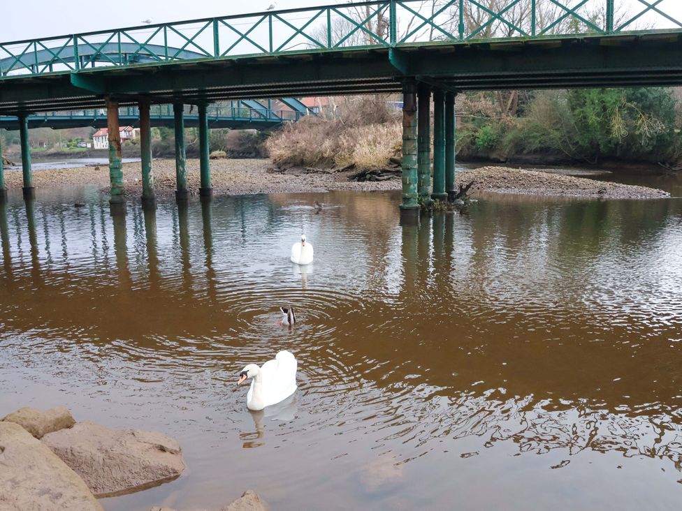 Three swans swimming in water with a bridge overhead at Eskview Cottage in Ruswarp near Whitby