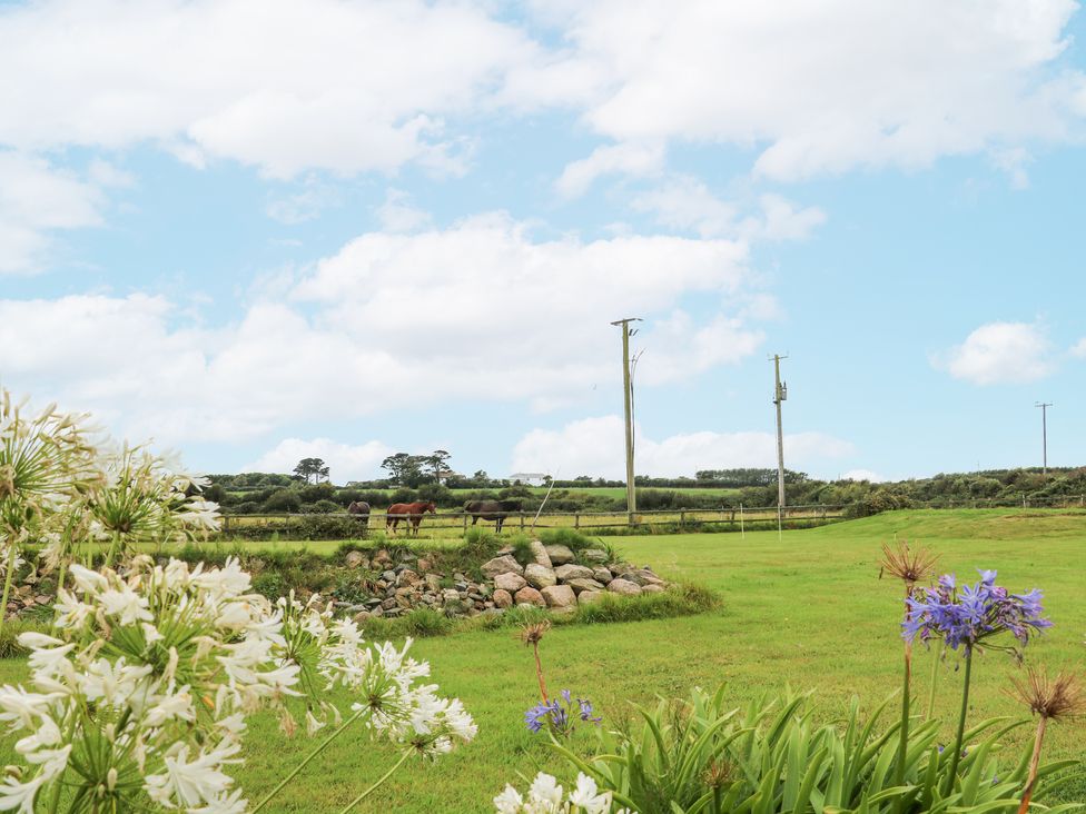 Sanderling Lodge - County Wexford - 962010 - thumbnail photo 28