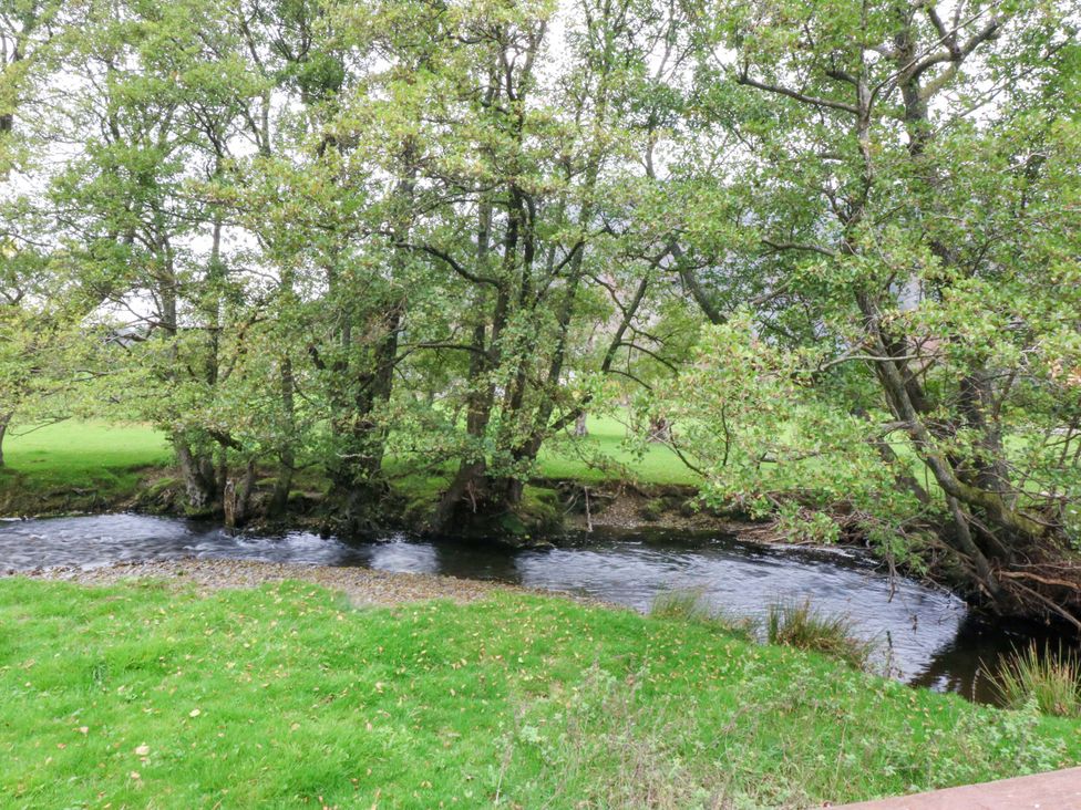 A river surrounded by trees and grass at River's Nook in Llangynog
