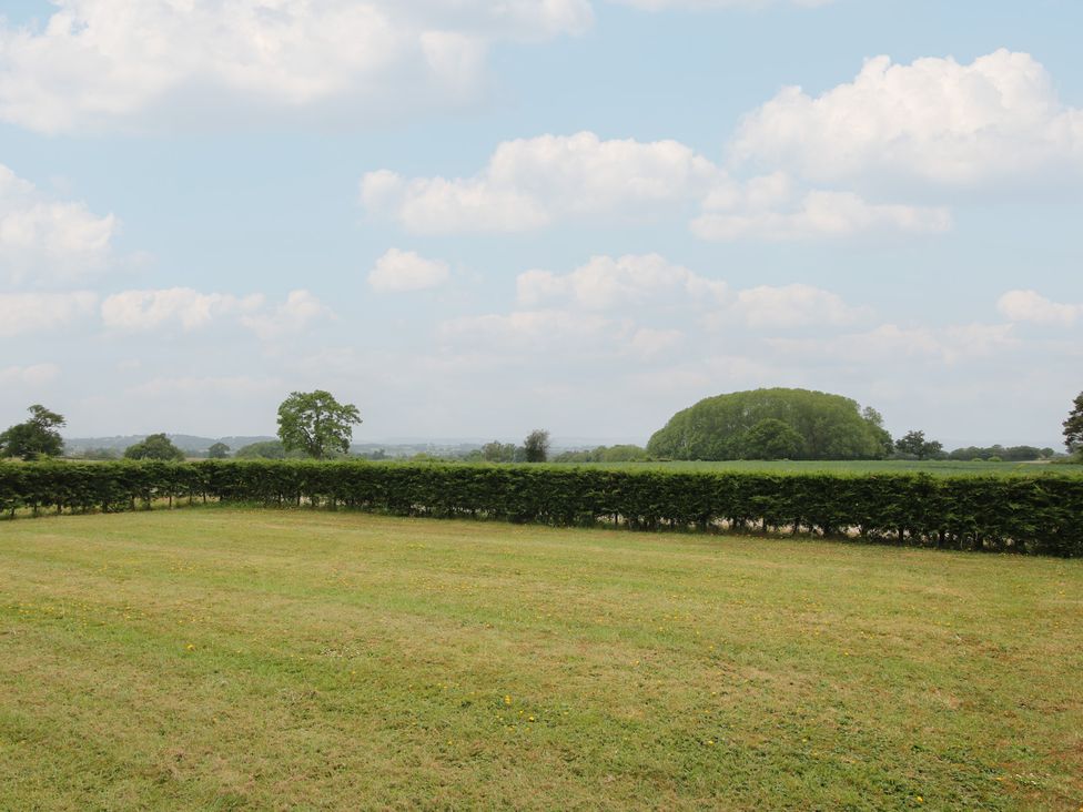 A grassy area with a hedge and trees at The Oaks in Cockshutt near Ellesmere