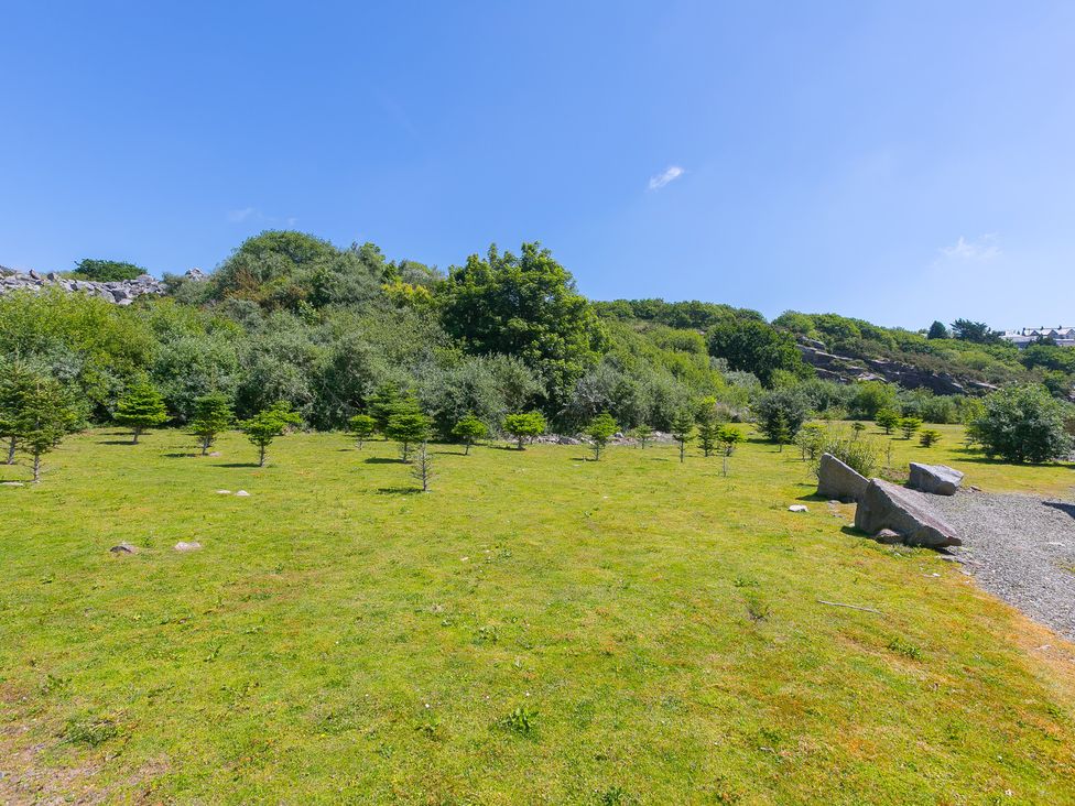 A green area with trees and rocks at Costentyn, Tor Down Quarry in St Breward