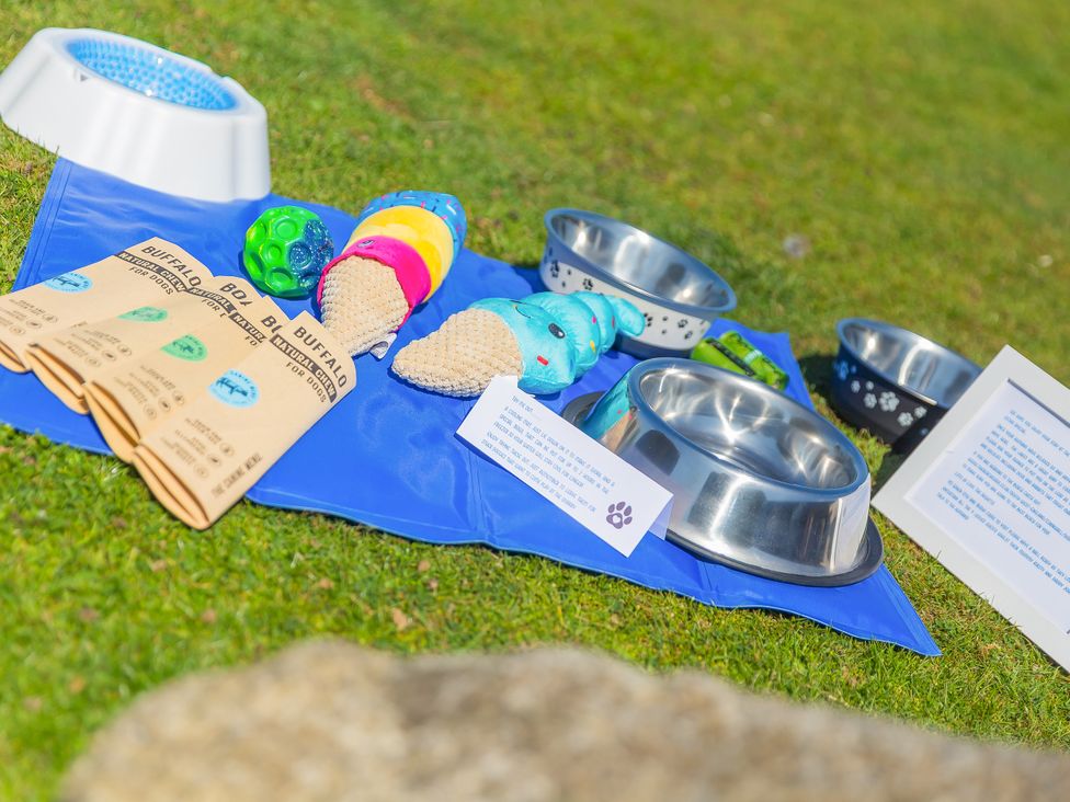 An outdoor setup with dog bowls and toys at Costentyn, Tor Down Quarry St Breward