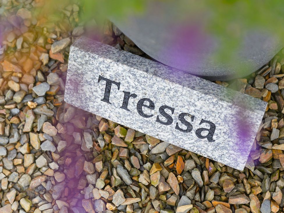 Tressa, Tor Down Quarry - Cornwall - 962968 - thumbnail photo 3