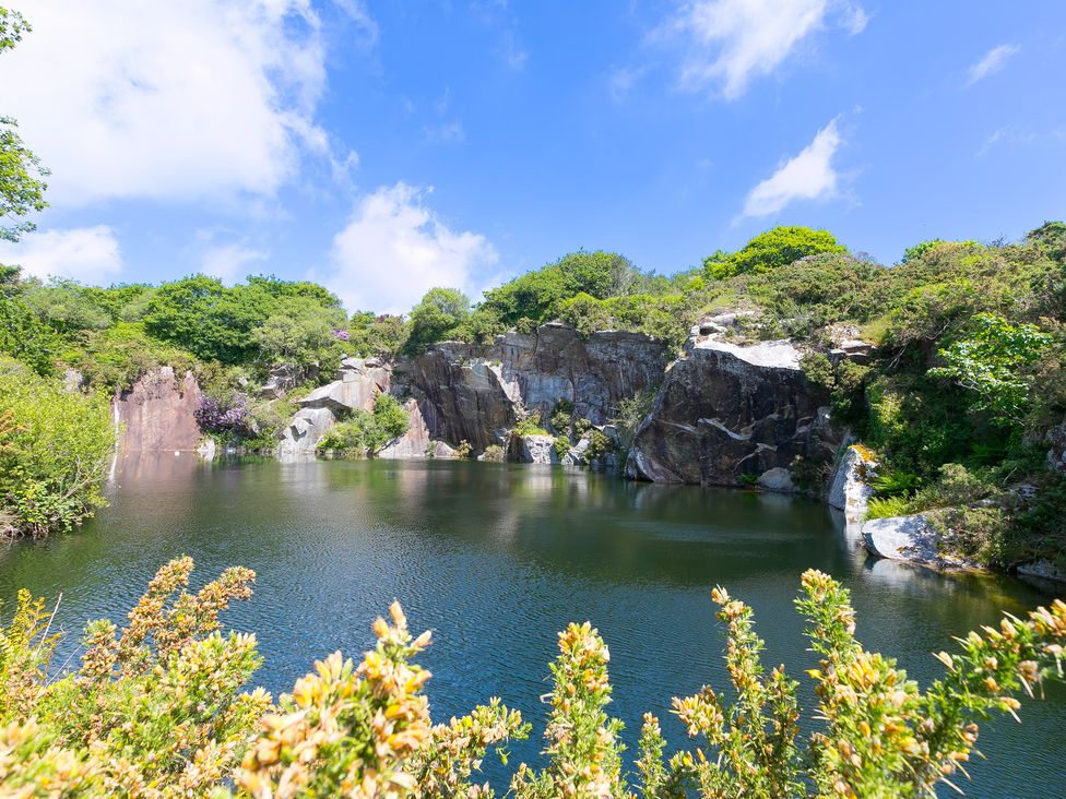 A quarry with water and greenery at Tressa, Tor Down Quarry, St Breward