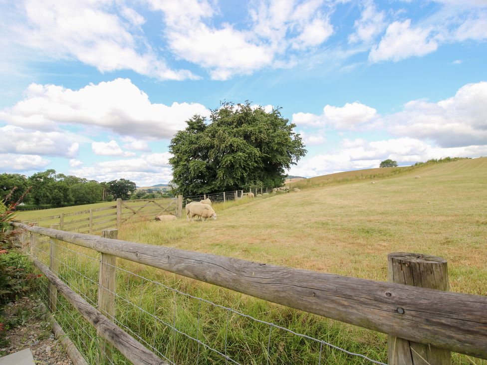A field with sheep and trees at The Hay Loft in Craven Arms
