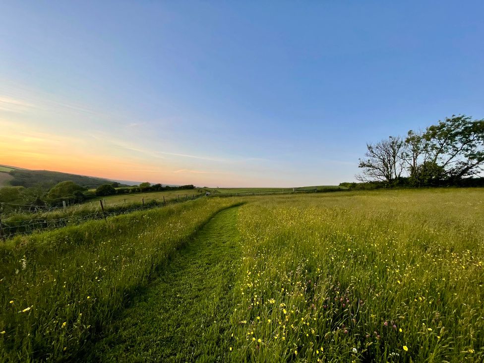 A path through a grassy field with trees at Meadow Cottage, Golant, near Fowey