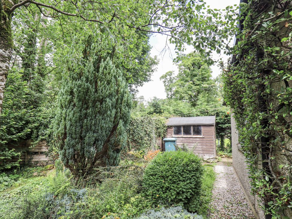 A garden with a shed and greenery at Doe Foot Cottage Ingleton