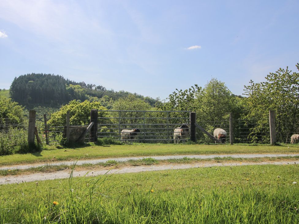 The Old Beams at Pont y Forwyn - North Wales - 964682 - thumbnail photo 27