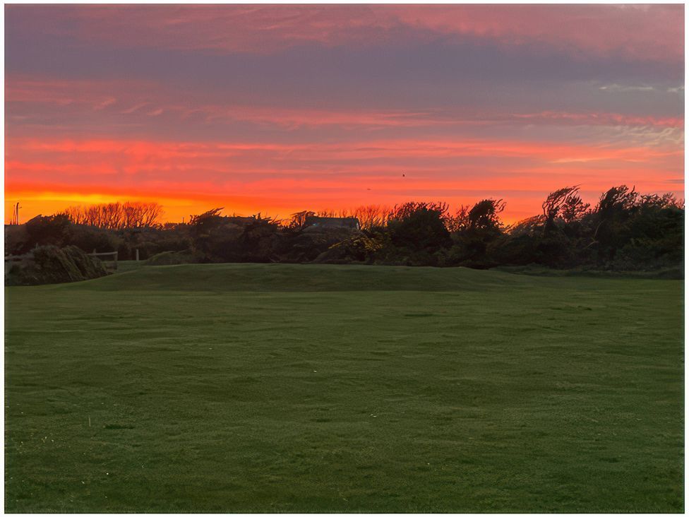 A grassy area with trees and a sunset at The Owl's Hoot in Tacumshane, County Wexford