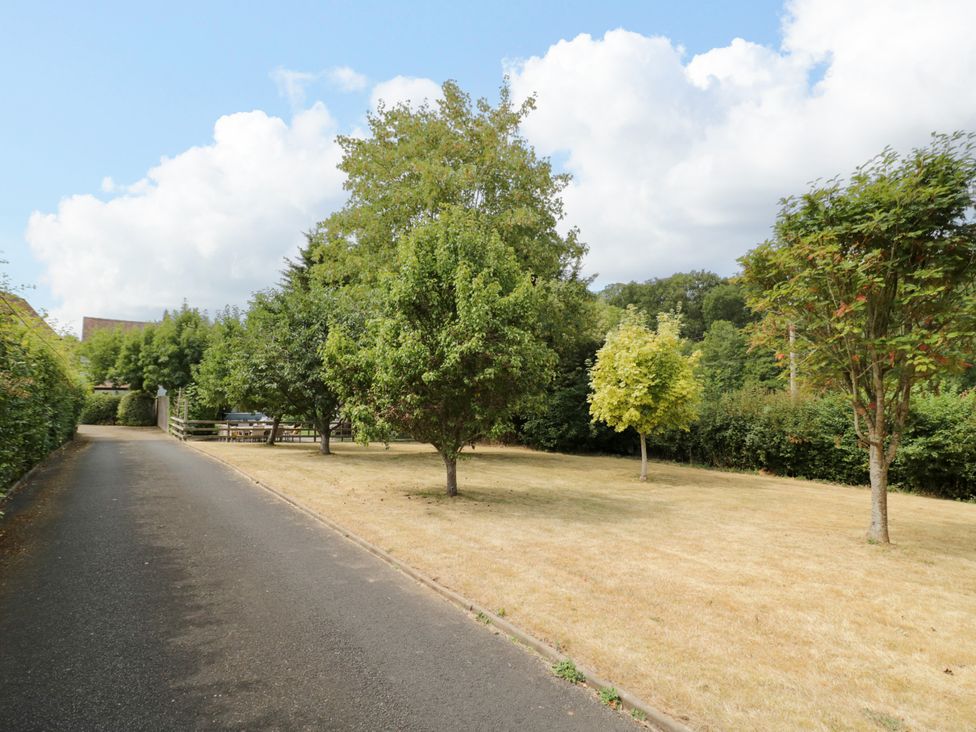 A garden with trees and a gravel path at Lower Tundridge Cottage Suckley near Malvern