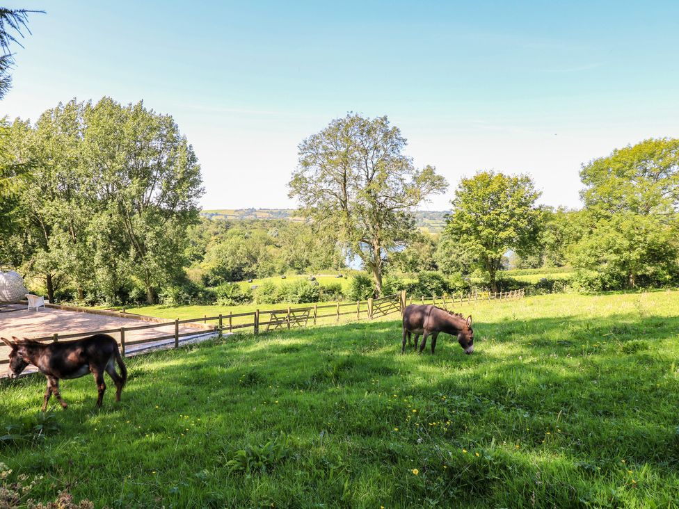 The Ivy Barn - Peak District & Derbyshire - 967167 - thumbnail photo 29