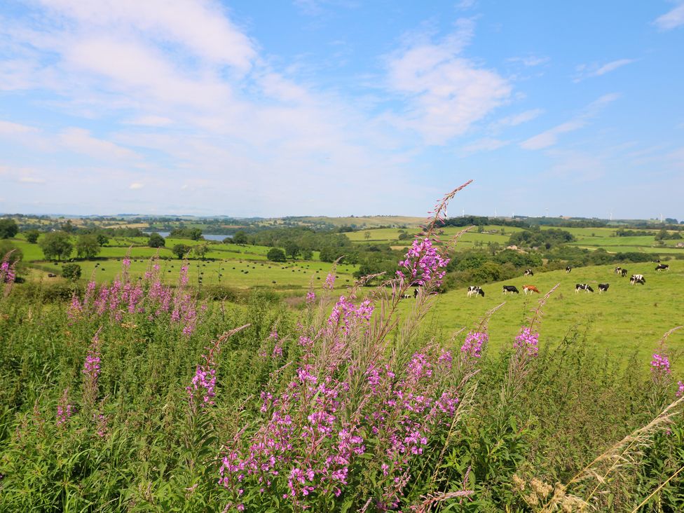 The Ivy Barn - Peak District & Derbyshire - 967167 - thumbnail photo 33