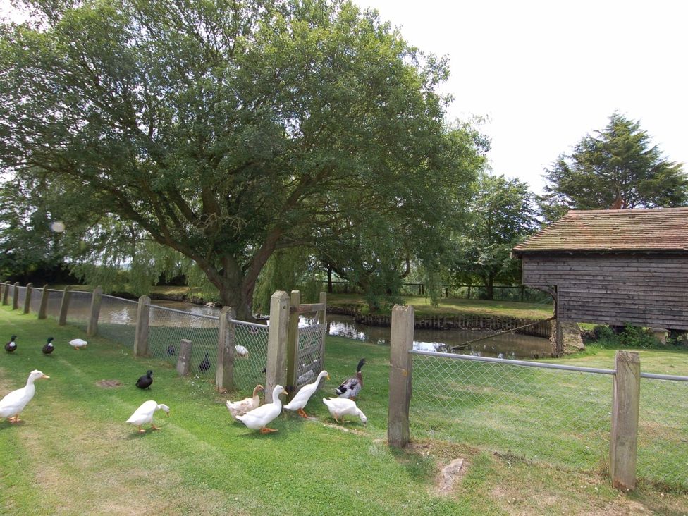 Acorn Cottage - Somerset & Wiltshire - 967264 - thumbnail photo 9
