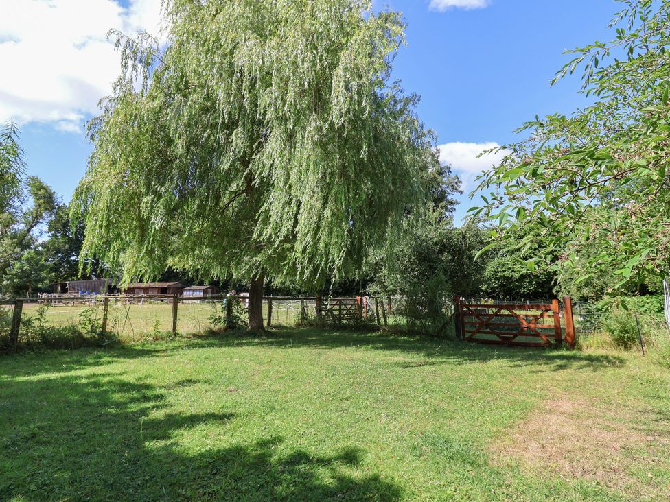 A garden with a tree and a gate at Brookfield Lodge in Drimpton