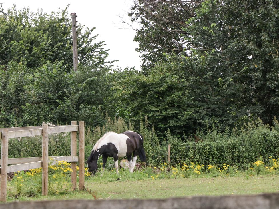 Little Fulford Barn - Somerset & Wiltshire - 967353 - thumbnail photo 30