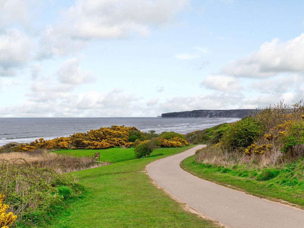 Dotty's Sunshine Cottage - North Yorkshire (incl. Whitby) - 967801 - thumbnail photo 31