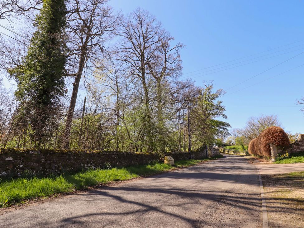 A road with trees and a stone wall at Gamekeepers Cottage in Chillingham near Chatton