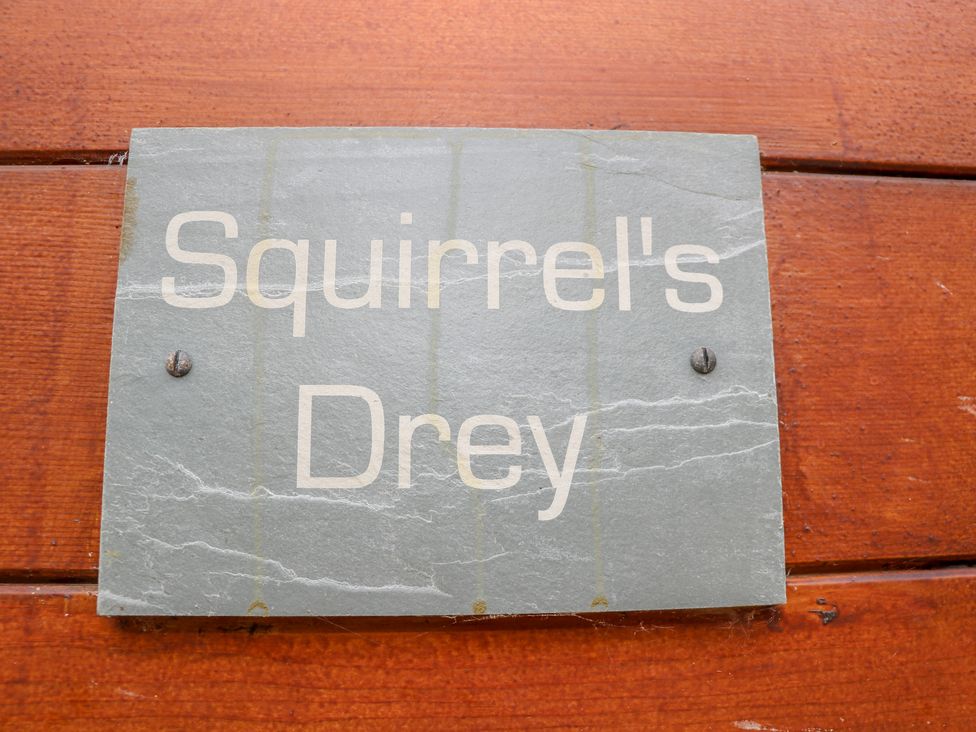 Squirrels Drey - Hampshire - 968209 - thumbnail photo 26