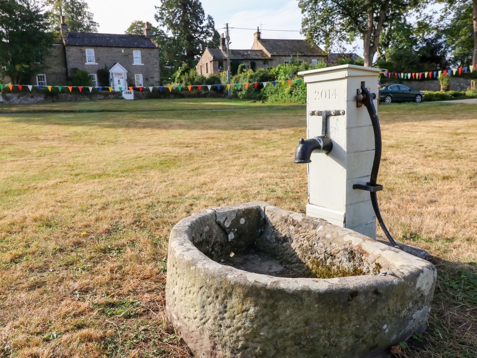 A water pump next to a stone trough in a grassy area at 2 The Coach House Romaldkirk near Middleton-in-Teesdale