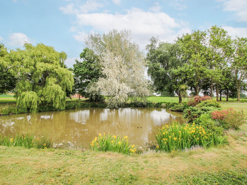 A pond surrounded by trees and flowers at The Manor House at Kenwick Lodge in Cockshutt near Ellesmere