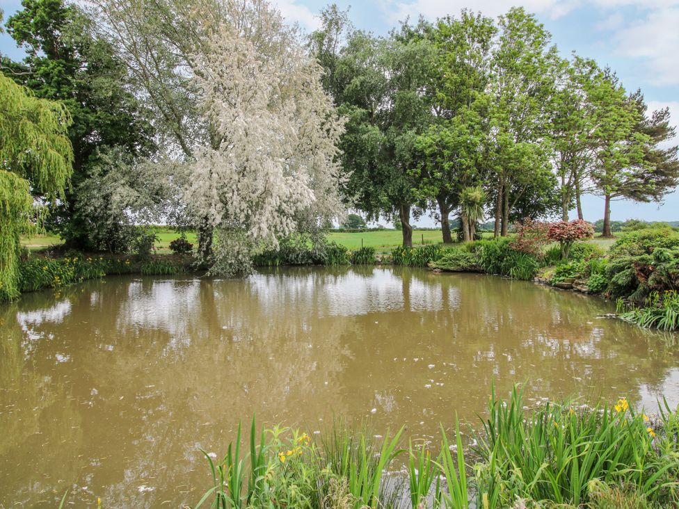 A pond surrounded by trees and plants at The Manor House at Kenwick Lodge Cockshutt near Ellesmere