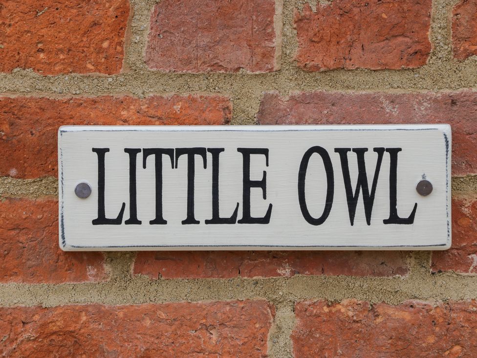 Little Owl - Lincolnshire - 971863 - thumbnail photo 3