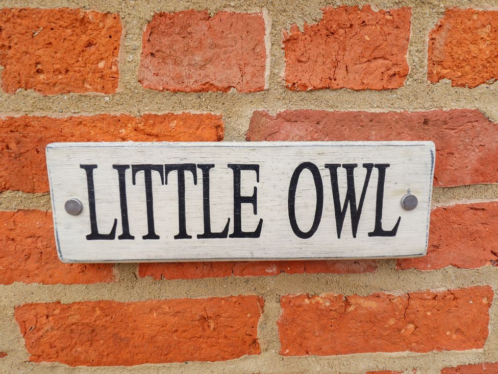Little Owl - Lincolnshire - 971863 - thumbnail photo 33