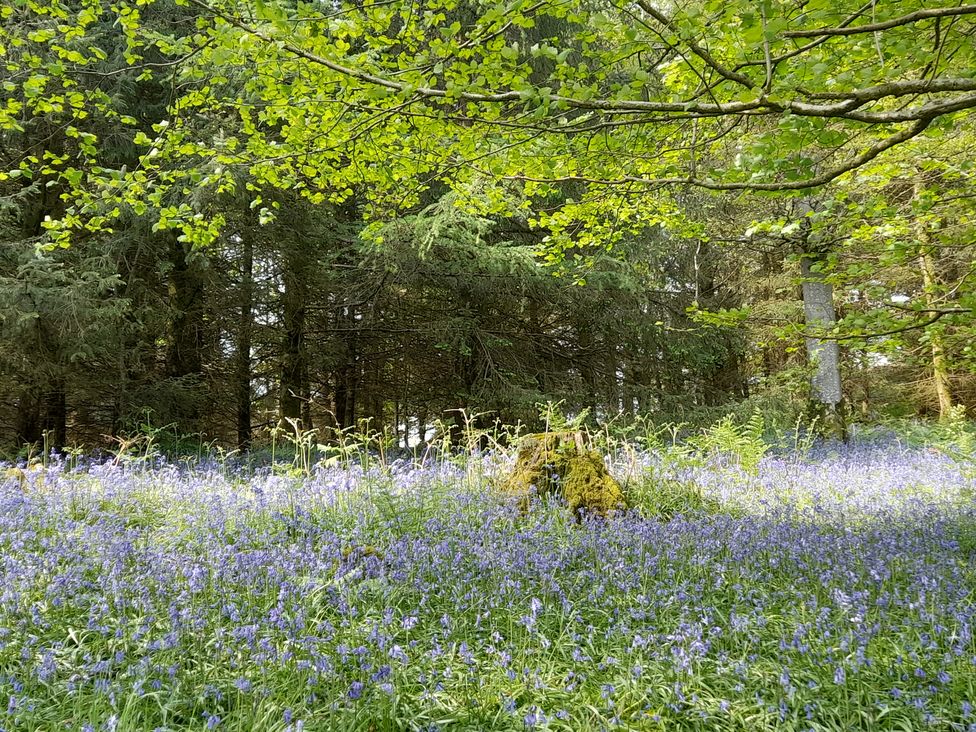 Bank End Lodge - Lake District - 972333 - thumbnail photo 44