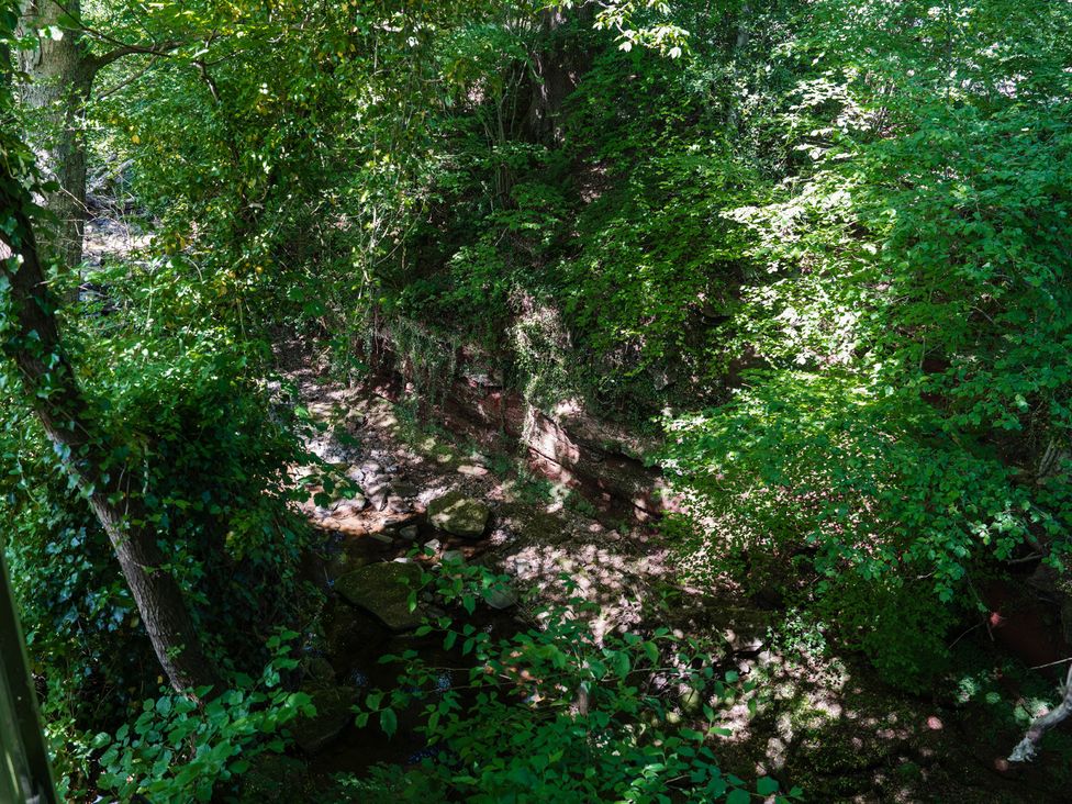 A view of a stream surrounded by trees and bushes at The Snug in Longtown