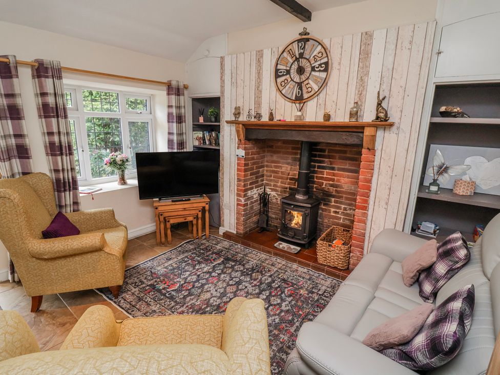 A living room with a fireplace and television at Riverlea in Dyserth
