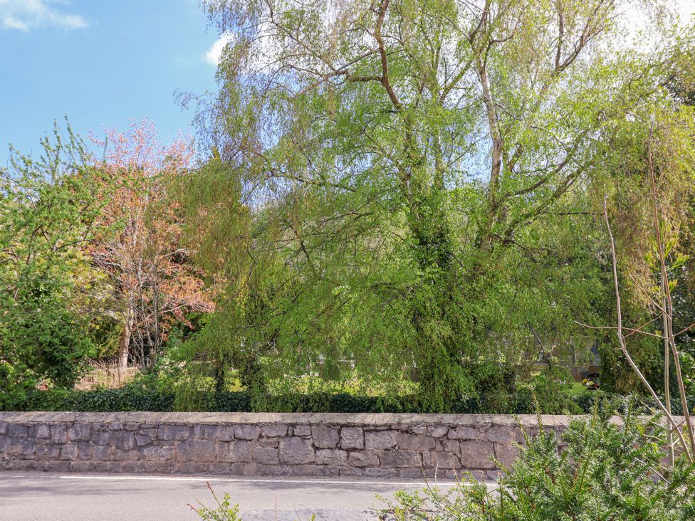 A view of trees and a wall in a garden at Riverlea in Dyserth