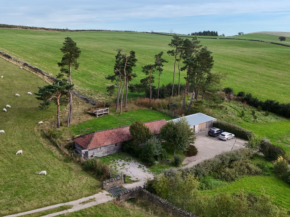 An outdoor view of a property surrounded by grass and sheep at Pant Dafydd Goch in Llangollen