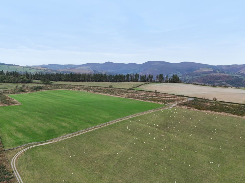 A grassy field with sheep and trees at Pant Dafydd Goch in Llangollen