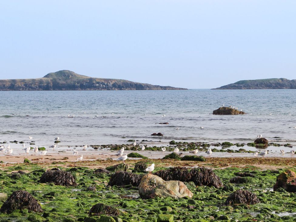 Bryn Ffynnon - North Wales - 975131 - thumbnail photo 33