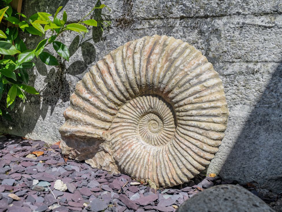 Ammonite Cottage - Dorset - 975331 - thumbnail photo 38