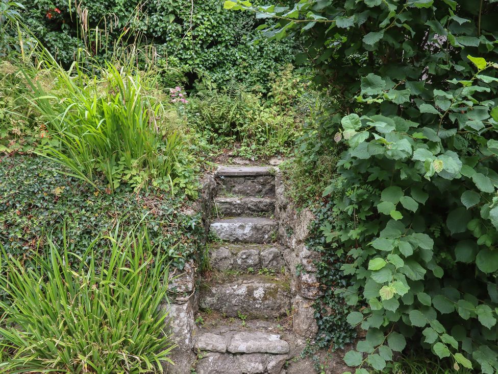 Steps surrounded by plants and bushes at Little Gate Cottage North Bovey
