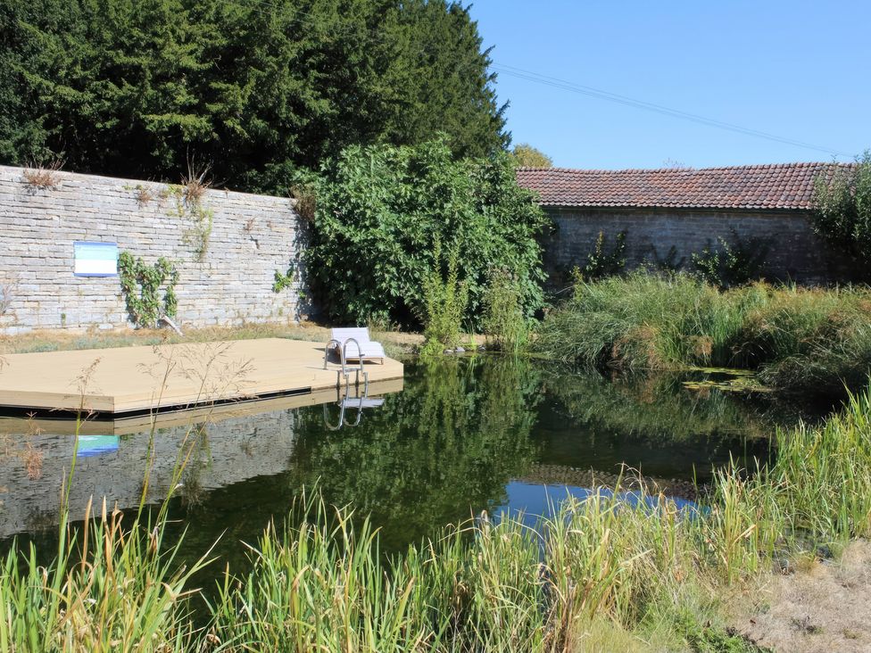 A garden with a pond and deck at Wootton House Butleigh Wootton, near Compton Dundon
