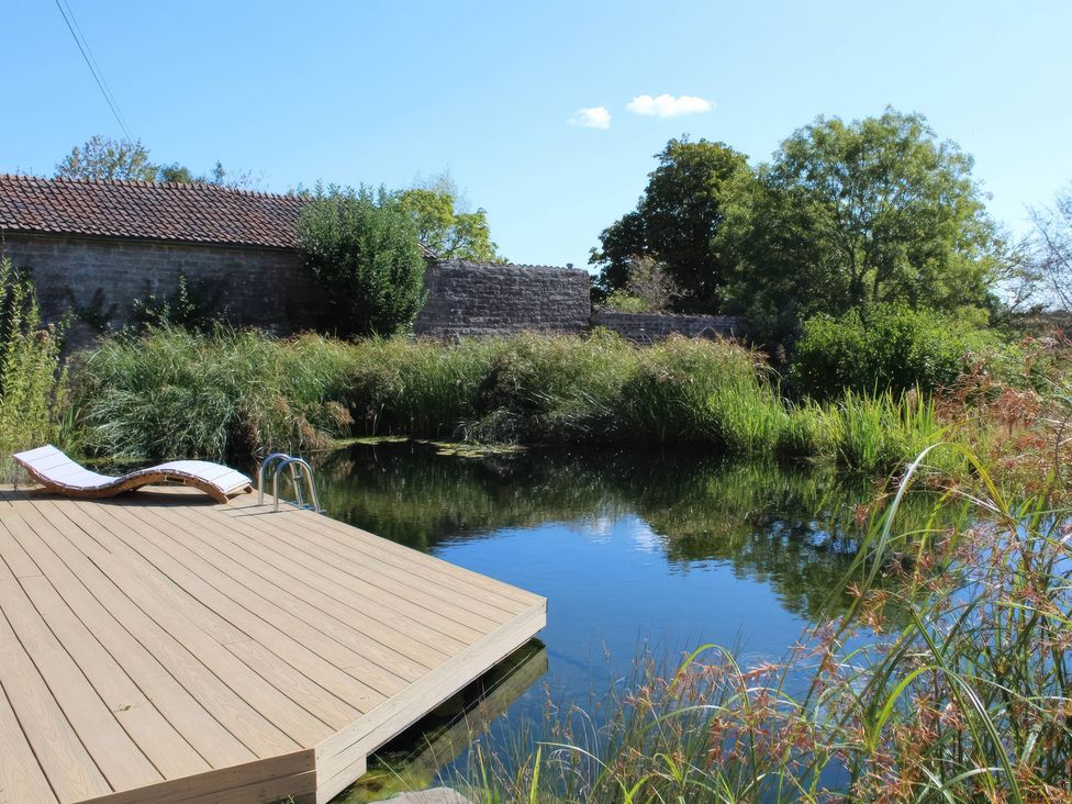 A wooden deck with a pool ladder by a pond at Wootton House Butleigh Wootton near Compton Dundon
