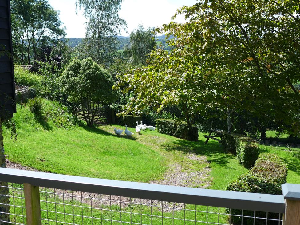 A garden with geese on a lawn at Little Evanses, Dalwood near Axminster