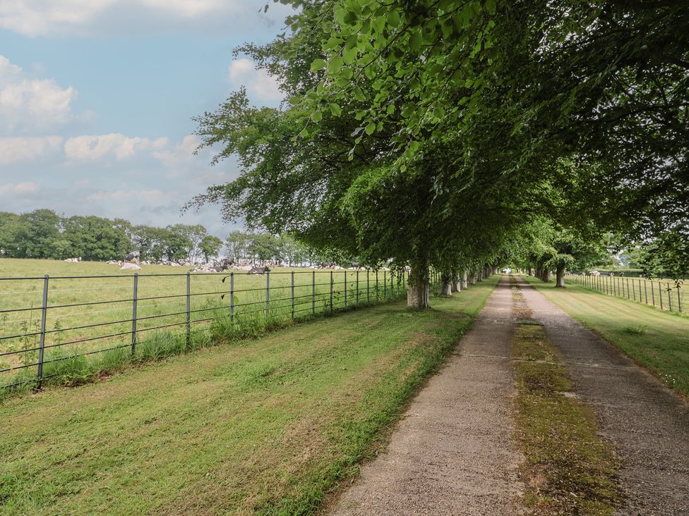 A pathway with trees along the sides at The Old Log Shed in Honiton