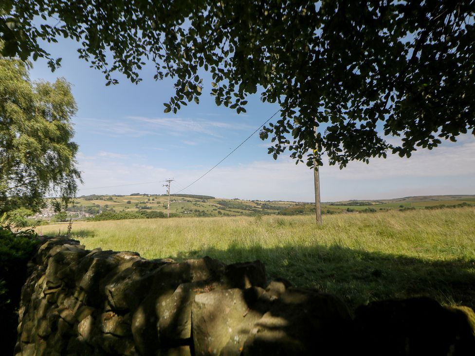 A field with trees and a telephone pole at Overlea Barn in Hayfield