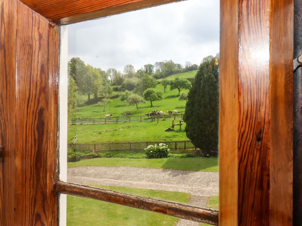 A view of cows on farmland through a window at Hornshayne Farmhouse near Honiton