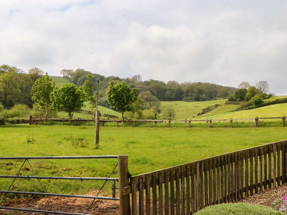 A view of green fields and trees at Hornshayne Farmhouse in Farway, near Honiton