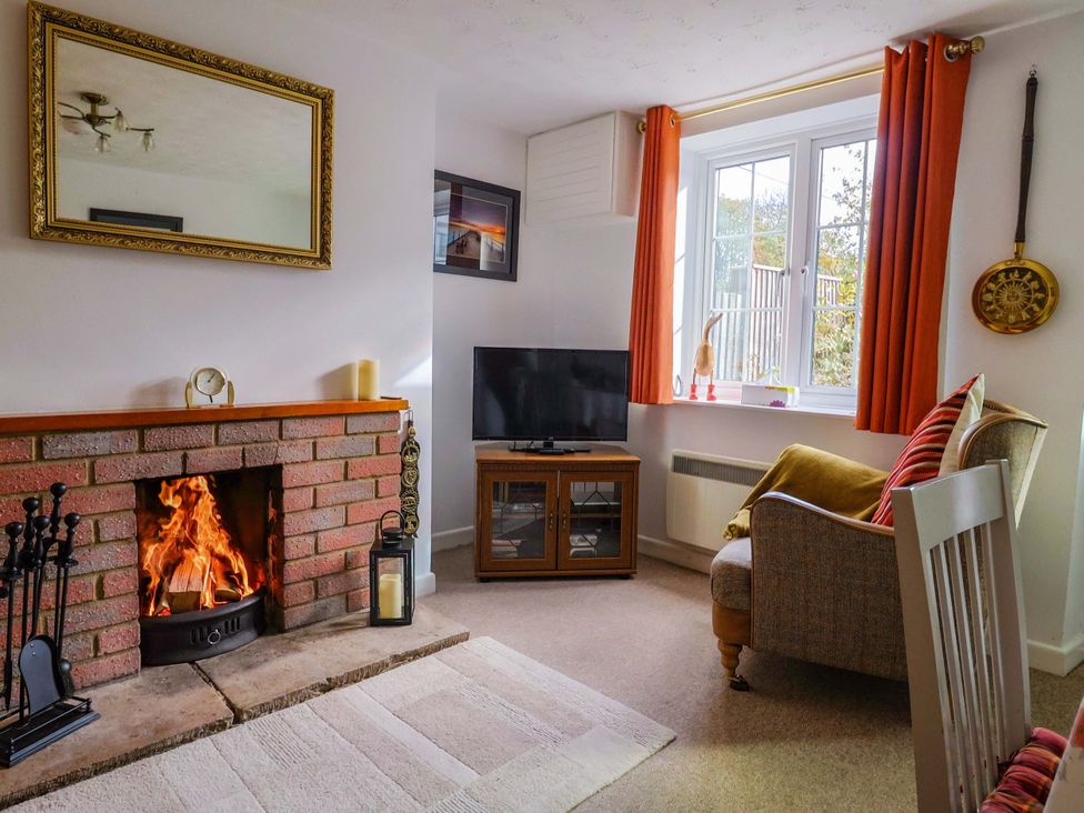 A living room with a fireplace and television at Poppy Cottage in Charlton Marshall